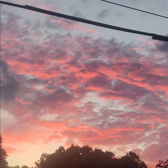 Meet your Posher, Casey - Picture 1 of 1